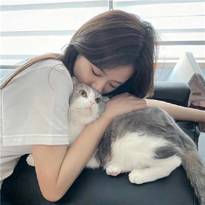 最佳合伙人