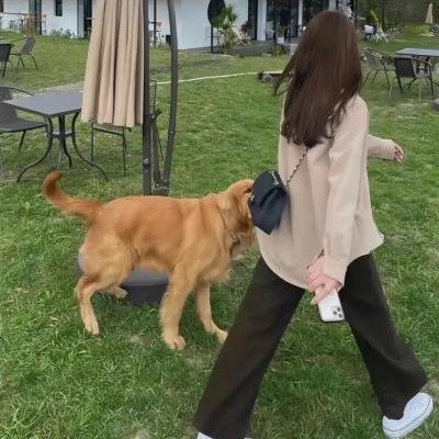 情迷维纳斯